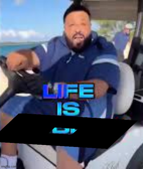 Life is Roblox | image tagged in life is roblox | made w/ Imgflip meme maker