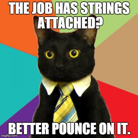 Business Cat | THE JOB HAS STRINGS ATTACHED? BETTER POUNCE ON IT. | image tagged in memes,business cat,AdviceAnimals | made w/ Imgflip meme maker