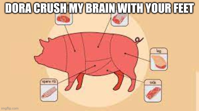 porky | DORA CRUSH MY BRAIN WITH YOUR FEET | image tagged in porky | made w/ Imgflip meme maker
