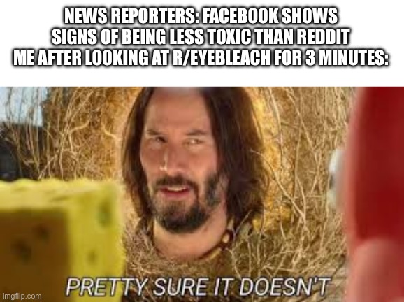 Facebook: Pissing you off since the very beginning | NEWS REPORTERS: FACEBOOK SHOWS SIGNS OF BEING LESS TOXIC THAN REDDIT
ME AFTER LOOKING AT R/EYEBLEACH FOR 3 MINUTES: | image tagged in pretty sure it doesn't | made w/ Imgflip meme maker