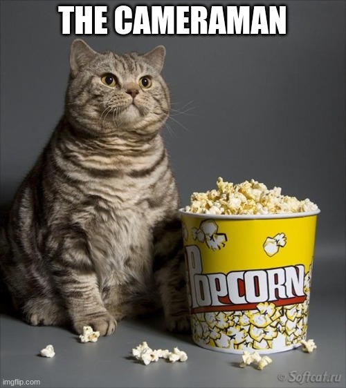 Cat eating popcorn | THE CAMERAMAN | image tagged in cat eating popcorn | made w/ Imgflip meme maker