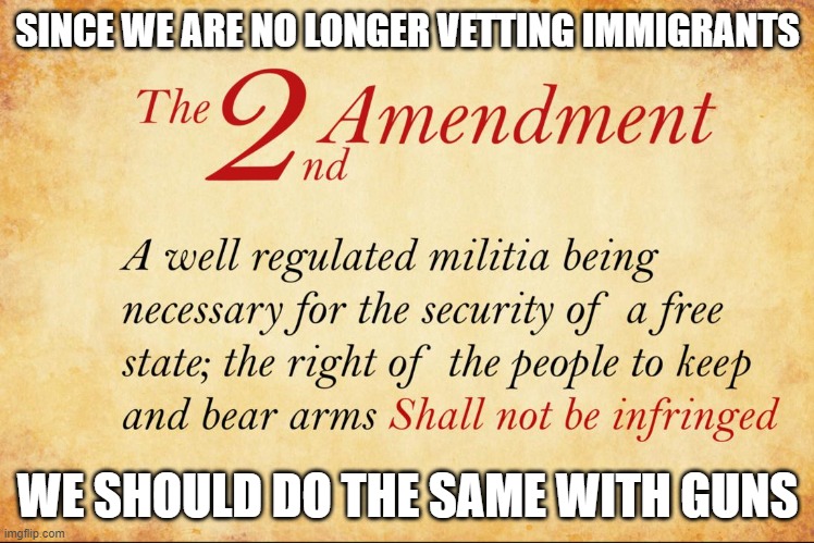 2nd Immigration policy | SINCE WE ARE NO LONGER VETTING IMMIGRANTS; WE SHOULD DO THE SAME WITH GUNS | image tagged in illegal immigration,2nd amendment,gun laws,border wall,border,maga | made w/ Imgflip meme maker