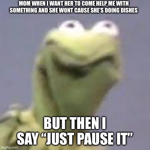 She kinda got mad at me….. | MOM WHEN I WANT HER TO COME HELP ME WITH SOMETHING AND SHE WONT CAUSE SHE’S DOING DISHES; BUT THEN I SAY “JUST PAUSE IT” | image tagged in kermit is not happy | made w/ Imgflip meme maker