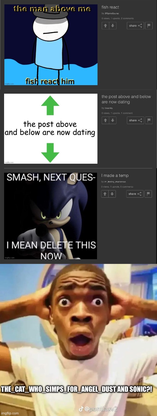 THE_CAT_WHO_SIMPS_FOR_ANGEL_DUST AND SONIC?! | image tagged in shocked black guy,oh shit,oh shi- | made w/ Imgflip meme maker