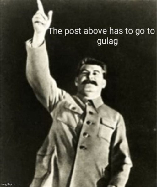 The Post above has to go to gulag | image tagged in the post above has to go to gulag | made w/ Imgflip meme maker