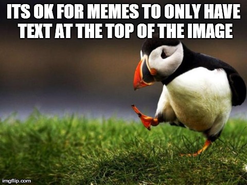 Unpopular Opinion Puffin | ITS OK FOR MEMES TO ONLY HAVE TEXT AT THE TOP OF THE IMAGE | image tagged in memes,unpopular opinion puffin,AdviceAnimals | made w/ Imgflip meme maker