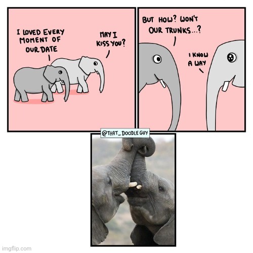 Elephants | image tagged in kiss,kissing,elephants,elephant,comics,comics/cartoons | made w/ Imgflip meme maker