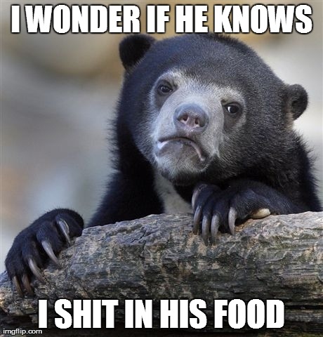 Confession Bear Meme | I WONDER IF HE KNOWS I SHIT IN HIS FOOD | image tagged in memes,confession bear | made w/ Imgflip meme maker