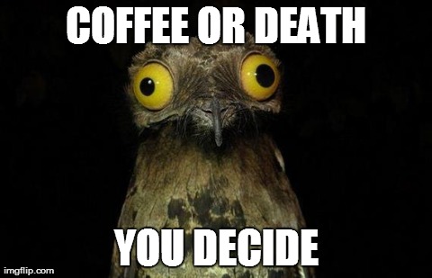 Weird Stuff I Do Potoo Meme | COFFEE OR DEATH YOU DECIDE | image tagged in memes,weird stuff i do potoo | made w/ Imgflip meme maker