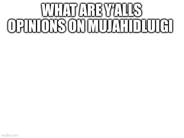 WHAT ARE Y’ALLS OPINIONS ON MUJAHIDLUIGI | made w/ Imgflip meme maker