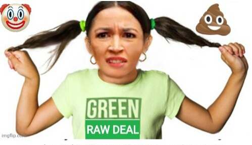 AOC green raw deal Blank Meme Template