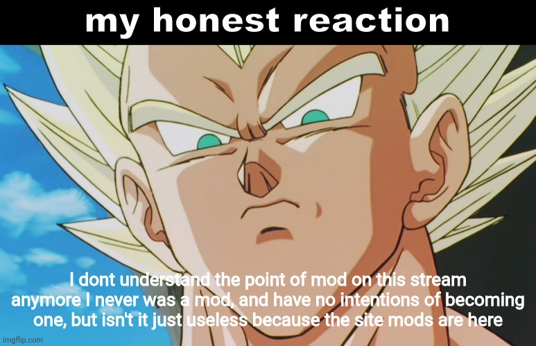 Yuh | I don't understand the point of mod on this stream anymore I never was a mod, and have no intentions of becoming one, but isn't it just useless because the site mods are here | image tagged in vegeta my honest reaction | made w/ Imgflip meme maker