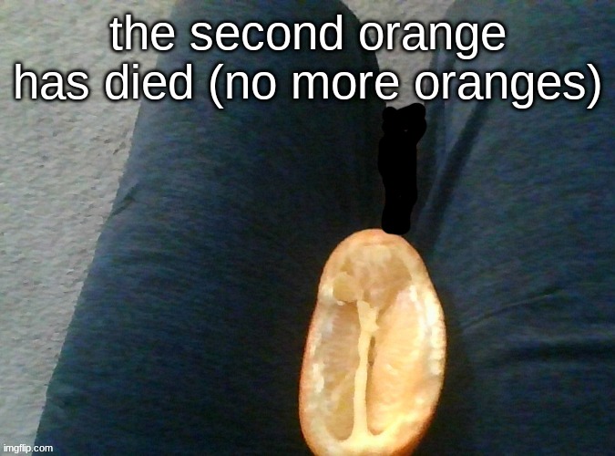 thank you for pointing that out | made w/ Imgflip meme maker