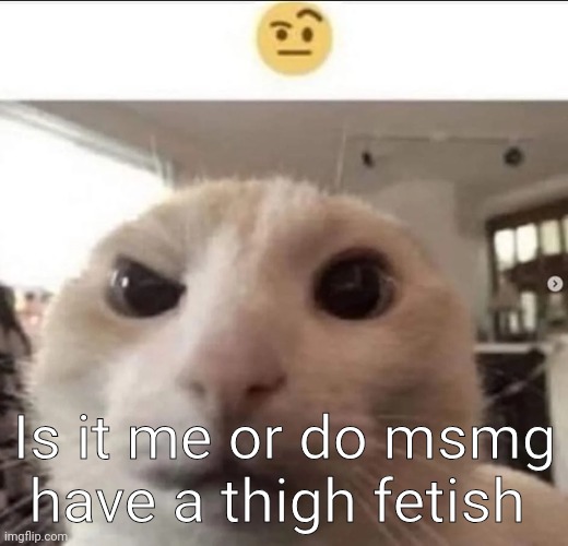 Raised eyebrow cat | Is it me or do msmg have a thigh fetish | image tagged in raised eyebrow cat | made w/ Imgflip meme maker