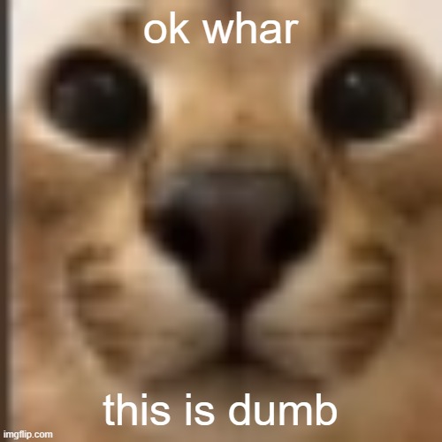 Whar | ok whar this is dumb | image tagged in whar | made w/ Imgflip meme maker