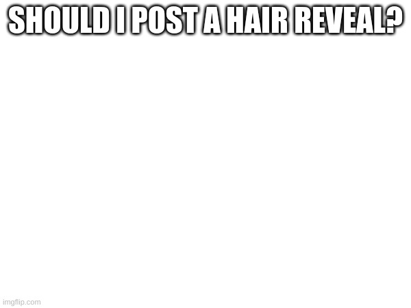 The hair on my head | SHOULD I POST A HAIR REVEAL? | made w/ Imgflip meme maker