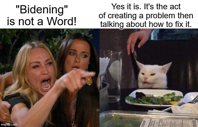 Bidening | Yes it is. It's the act of creating a problem then talking about how to fix it. "Bidening" is not a Word! | image tagged in memes,woman yelling at cat | made w/ Imgflip meme maker