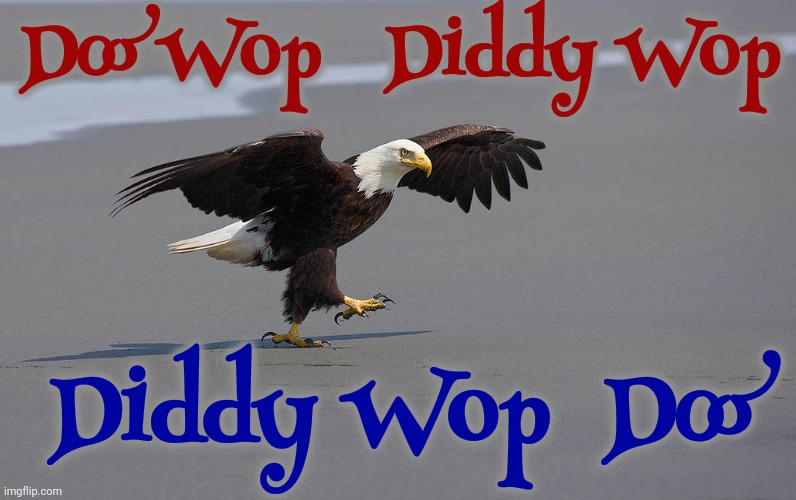 I Can Name That Tune In 5 Notes | Doo Wop   Diddy Wop; Diddy Wop  Doo | image tagged in tough guy eagle,oldies,golden oldies,doo wop,memes,80s music | made w/ Imgflip meme maker