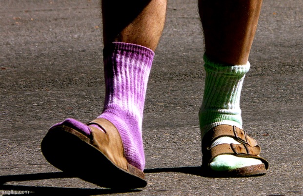 mismatched socks and sandles | image tagged in mismatched socks and sandles | made w/ Imgflip meme maker