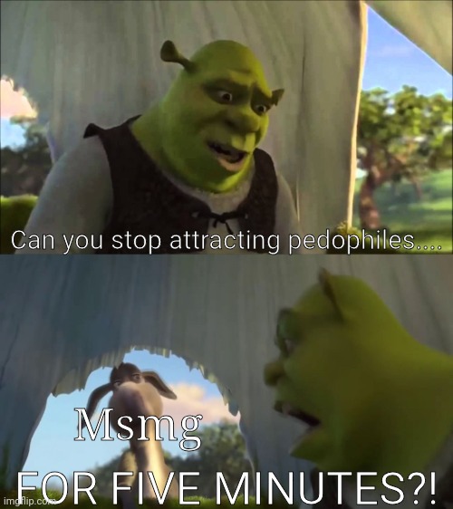 I would like to not have a Jeffrey 2.0 show up | Can you stop attracting pedophiles.... Msmg; FOR FIVE MINUTES?! | image tagged in shrek five minutes | made w/ Imgflip meme maker