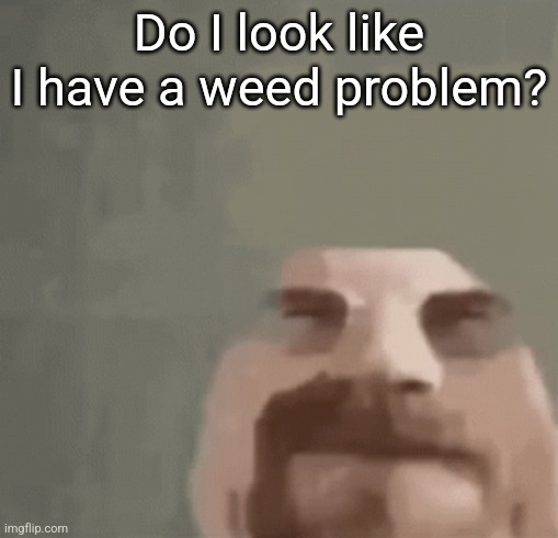 My face reveal | Do I look like I have a weed problem? | image tagged in heisenburger | made w/ Imgflip meme maker