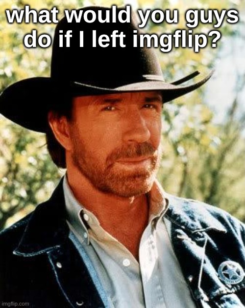 Chuck Norris | what would you guys do if I left imgflip? | image tagged in memes,chuck norris | made w/ Imgflip meme maker