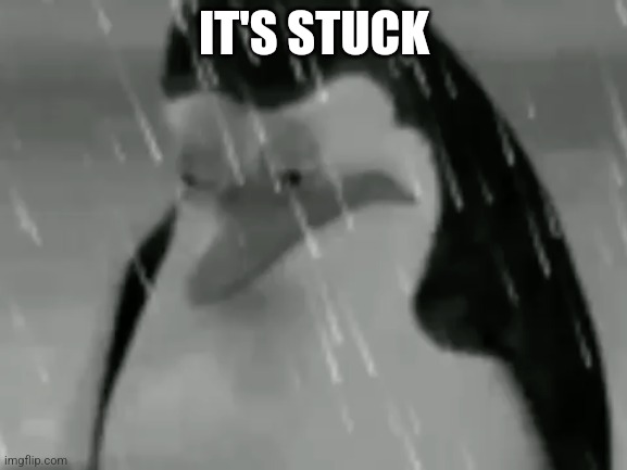 Sadge | IT'S STUCK | image tagged in sadge | made w/ Imgflip meme maker