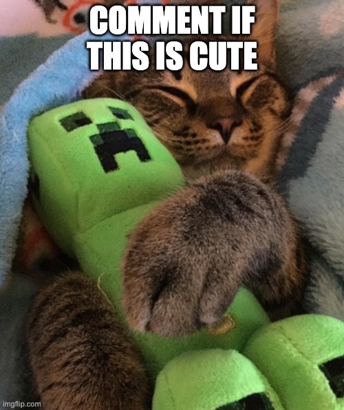Here come the comments =) | COMMENT IF THIS IS CUTE | image tagged in cute cat | made w/ Imgflip meme maker