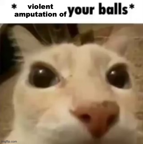 X your balls | violent amputation of | image tagged in x your balls | made w/ Imgflip meme maker