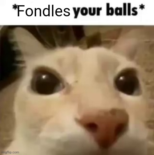 X your balls | Fondles | image tagged in x your balls | made w/ Imgflip meme maker