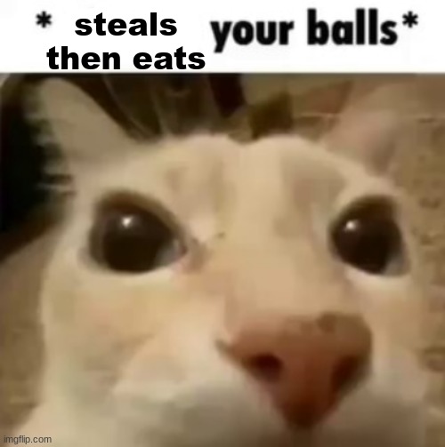 X your balls | steals then eats | image tagged in x your balls | made w/ Imgflip meme maker