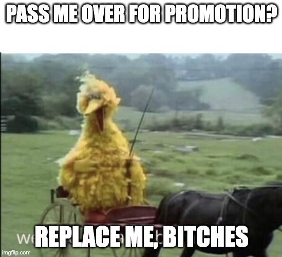 Passed over for promotion? | PASS ME OVER FOR PROMOTION? REPLACE ME, BITCHES | image tagged in we ride at dawn bitches | made w/ Imgflip meme maker