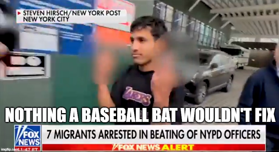 Batting Practice | NOTHING A BASEBALL BAT WOULDN'T FIX | image tagged in illegal immigration,immigration,immigrants,criminal,violent,police lives matter | made w/ Imgflip meme maker