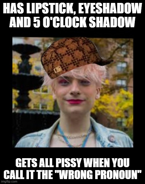 Scumbag Nonbinary | HAS LIPSTICK, EYESHADOW AND 5 O'CLOCK SHADOW; GETS ALL PISSY WHEN YOU CALL IT THE "WRONG PRONOUN" | image tagged in trans,nonbinary,androgenous,gay,leftist,makeup | made w/ Imgflip meme maker
