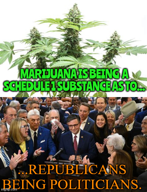 Reschedule Your Brain | MARIJUANA IS BEING  A SCHEDULE 1 SUBSTANCE AS TO... ...REPUBLICANS BEING POLITICIANS. | image tagged in highly over rated,marijuana,gop is rip,charade,freedom,weed | made w/ Imgflip meme maker