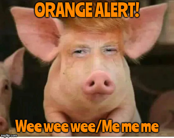 Orange Alert! Wee wee wee/ Me me me | ORANGE ALERT! | image tagged in trump alert,maaga alert,piggy squeals,oinker,donald trump,victim narcsissist | made w/ Imgflip meme maker