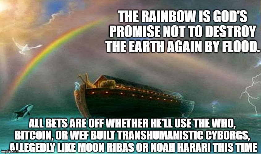 Noah's Ark | ALL BETS ARE OFF WHETHER HE'LL USE THE WHO, 
BITCOIN, OR WEF BUILT TRANSHUMANISTIC CYBORGS, 
ALLEGEDLY LIKE MOON RIBAS OR NOAH HARARI THIS T | image tagged in noah's ark | made w/ Imgflip meme maker
