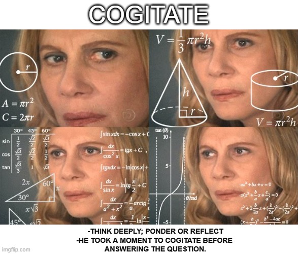 Cogitate Vocabulary | COGITATE; -THINK DEEPLY; PONDER OR REFLECT
-HE TOOK A MOMENT TO COGITATE BEFORE 
ANSWERING THE QUESTION. | image tagged in calculating meme | made w/ Imgflip meme maker