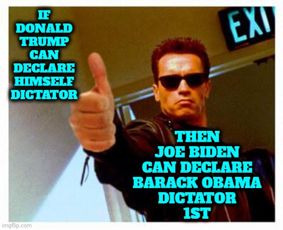 If He Can Do It So Can They!  Don't You Get It? | IF DONALD TRUMP CAN DECLARE HIMSELF DICTATOR; THEN
JOE BIDEN
CAN DECLARE
BARACK OBAMA
DICTATOR
1ST | image tagged in terminator thumbs up,oblivious,trump unfit unqualified dangerous,lock him up,con man,memes | made w/ Imgflip meme maker