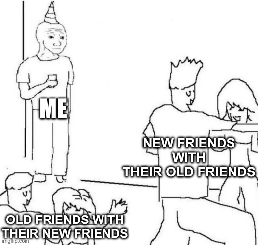 party loner | ME; NEW FRIENDS WITH THEIR OLD FRIENDS; OLD FRIENDS WITH THEIR NEW FRIENDS | image tagged in party loner | made w/ Imgflip meme maker