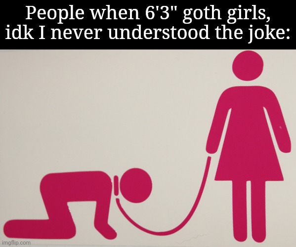 Welp, my notifications will be nuked after posting this | People when 6'3" goth girls, idk I never understood the joke: | image tagged in man on a leash | made w/ Imgflip meme maker