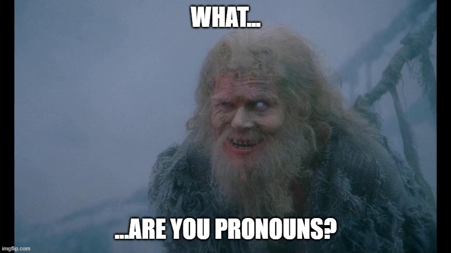 what are your pronouns | WHAT... ...ARE YOU PRONOUNS? | image tagged in monty python and the holy grail,pronouns,questions | made w/ Imgflip meme maker