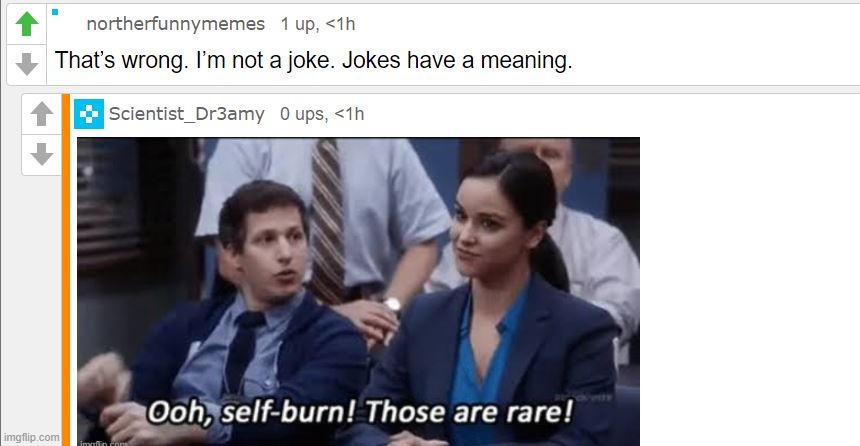 E | image tagged in ooh self-burn those are rare,never,gonna,give,you,up | made w/ Imgflip meme maker