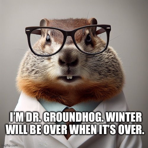 Dr. Groundhog | I’M DR. GROUNDHOG. WINTER WILL BE OVER WHEN IT’S OVER. | image tagged in groundhog day,groundhog | made w/ Imgflip meme maker