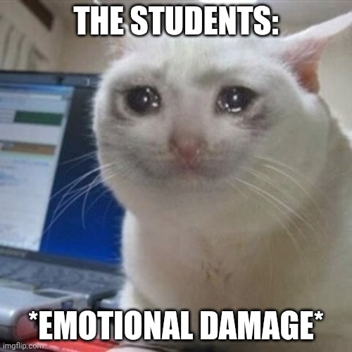 Crying cat | THE STUDENTS: *EMOTIONAL DAMAGE* | image tagged in crying cat | made w/ Imgflip meme maker