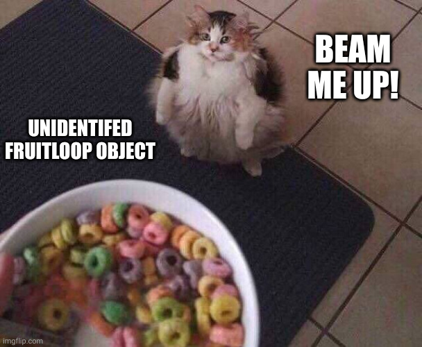Close Encounter of a Fruitloop Kind | BEAM ME UP! UNIDENTIFED FRUITLOOP OBJECT | image tagged in fruit loops,cats,ufo,memes,beam me up,close encounters | made w/ Imgflip meme maker