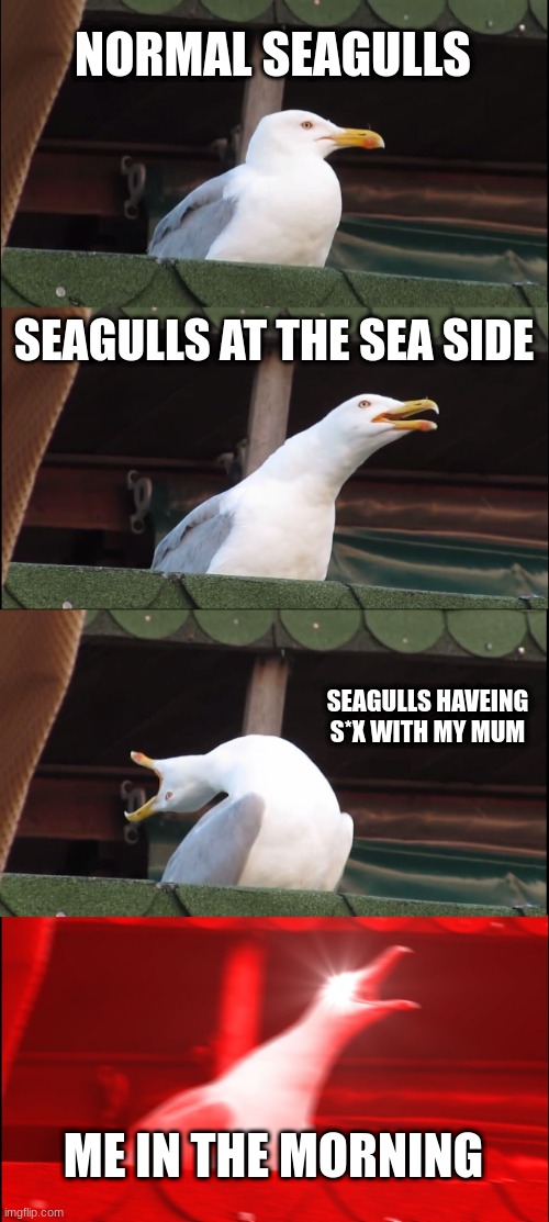 Hello | NORMAL SEAGULLS; SEAGULLS AT THE SEA SIDE; SEAGULLS HAVEING S*X WITH MY MUM; ME IN THE MORNING | image tagged in memes,inhaling seagull | made w/ Imgflip meme maker