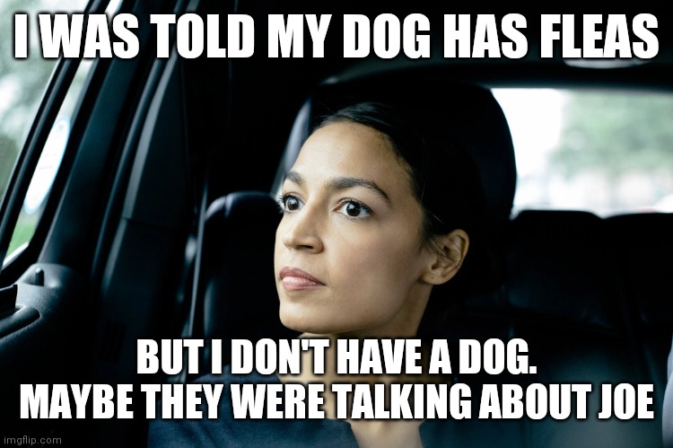 Aoc thoughts | I WAS TOLD MY DOG HAS FLEAS; BUT I DON'T HAVE A DOG. MAYBE THEY WERE TALKING ABOUT JOE | image tagged in alexandria ocasio-cortez,funny memes | made w/ Imgflip meme maker