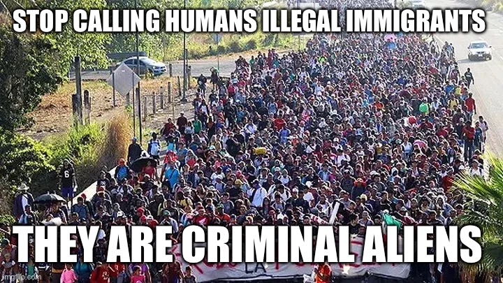 Criminals | STOP CALLING HUMANS ILLEGAL IMMIGRANTS; THEY ARE CRIMINAL ALIENS | image tagged in illegal aliens | made w/ Imgflip meme maker