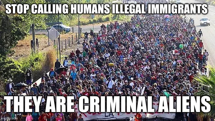 Immigrants | STOP CALLING HUMANS ILLEGAL IMMIGRANTS; THEY ARE CRIMINAL ALIENS | image tagged in illegal immigration | made w/ Imgflip meme maker
